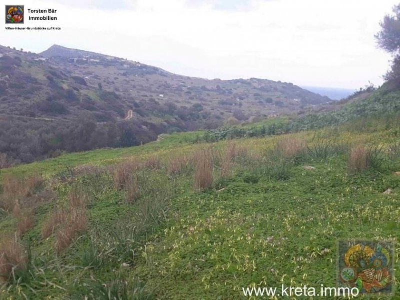 Pitsida Süd Kreta, Pitsida Grundstück 2.400 m² mit toller Aussicht Grundstück kaufen